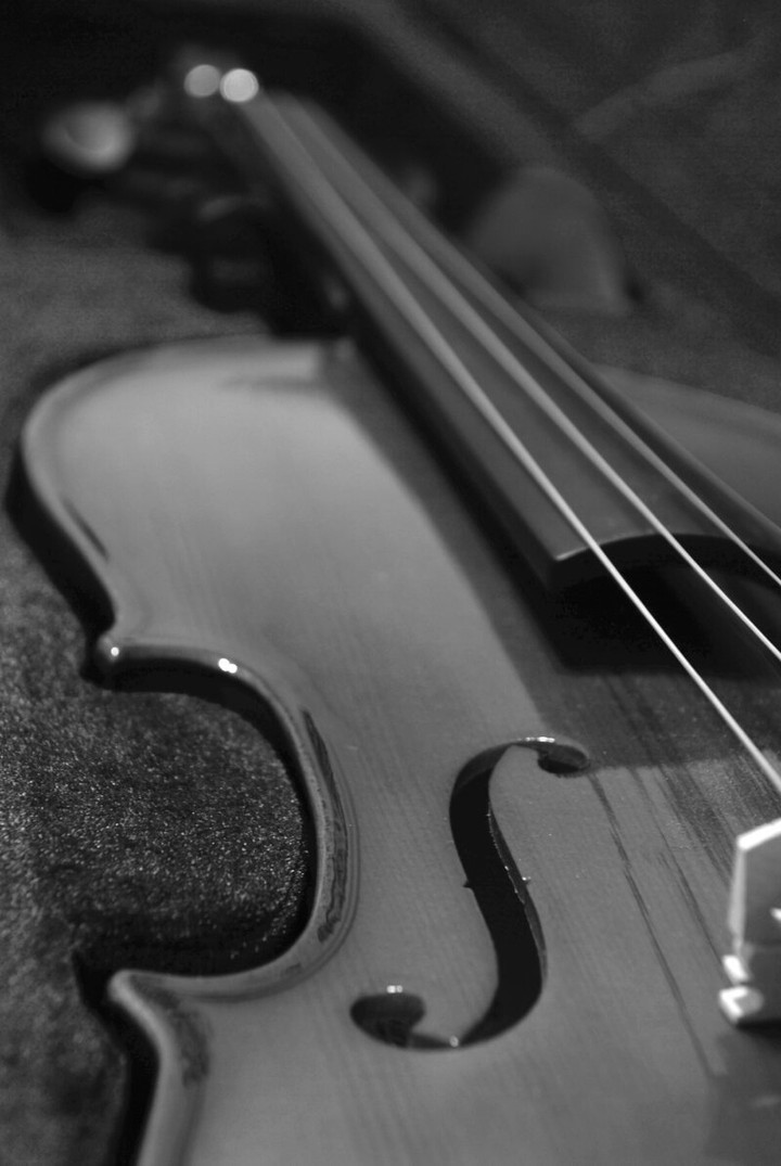 Violin
