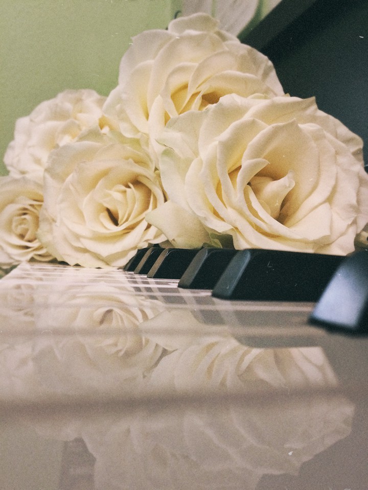 rose and piano