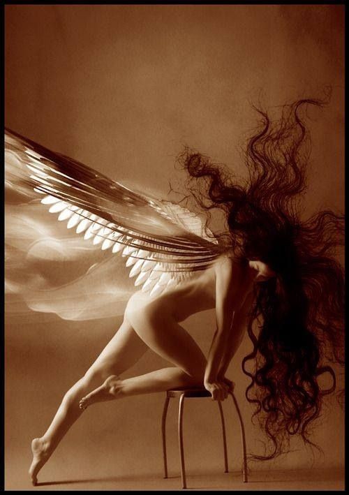 ANGELES