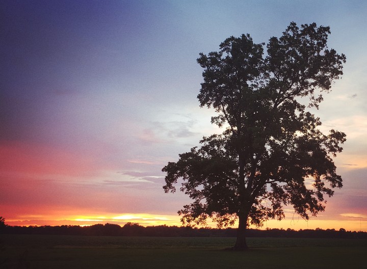 Peaceful & Amazed
