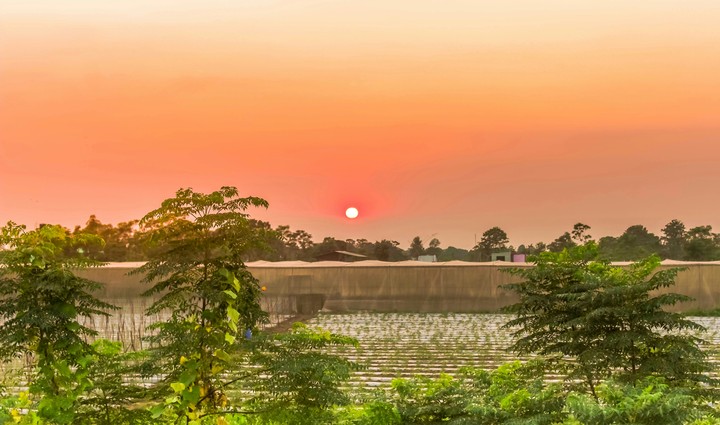 sunset