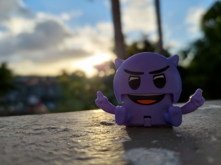 Toy