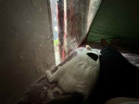 window, Tail háttérképek