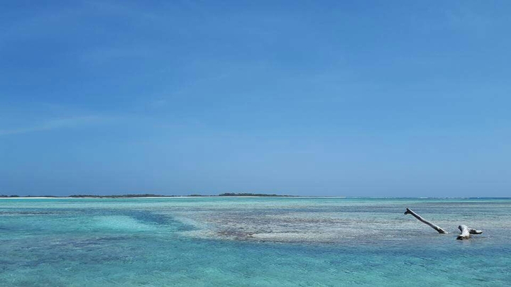 Los roques