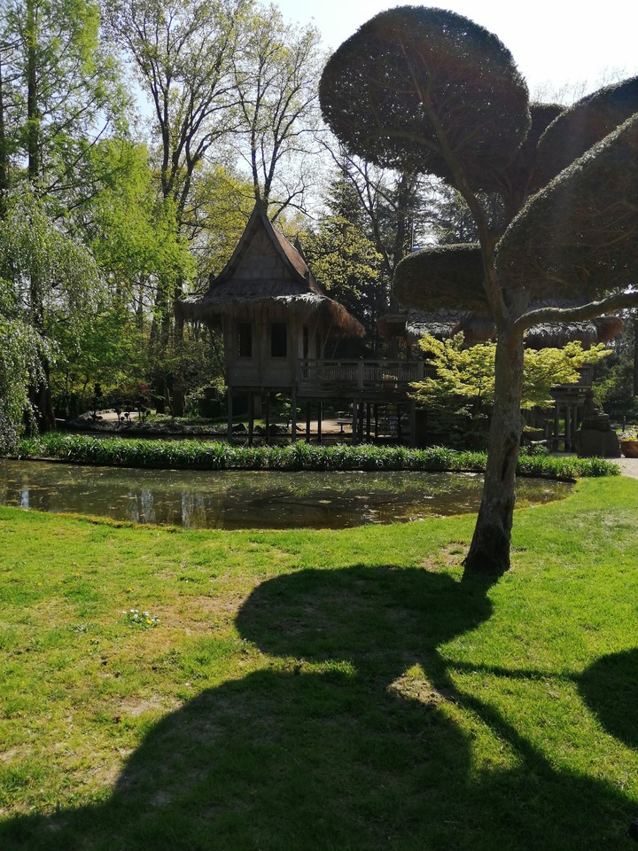 Oosterse tuin