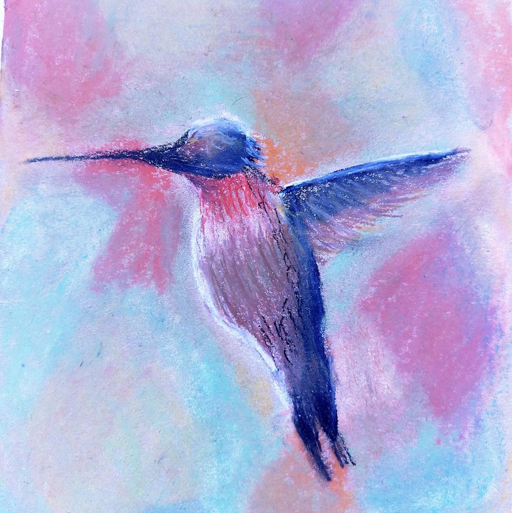 colibrí,  crayola al óleo por Diana Ramirez
