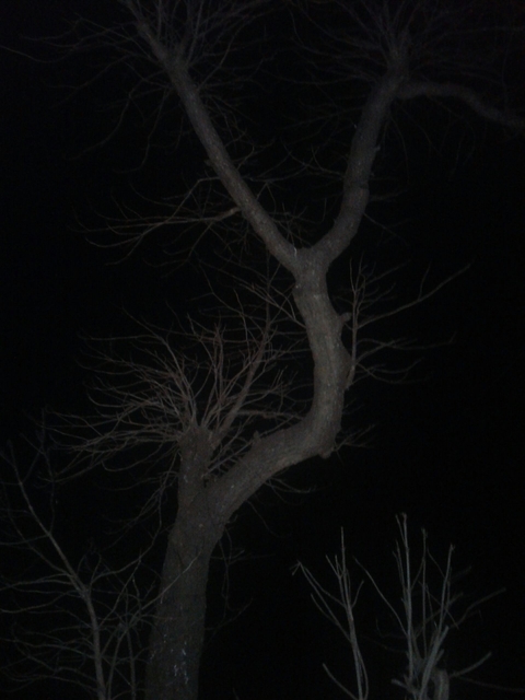 dark knight