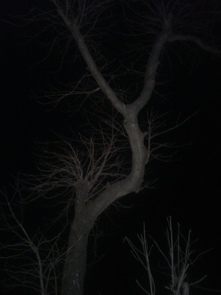 dark knight