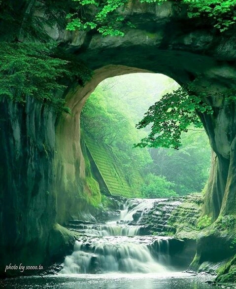 Nature