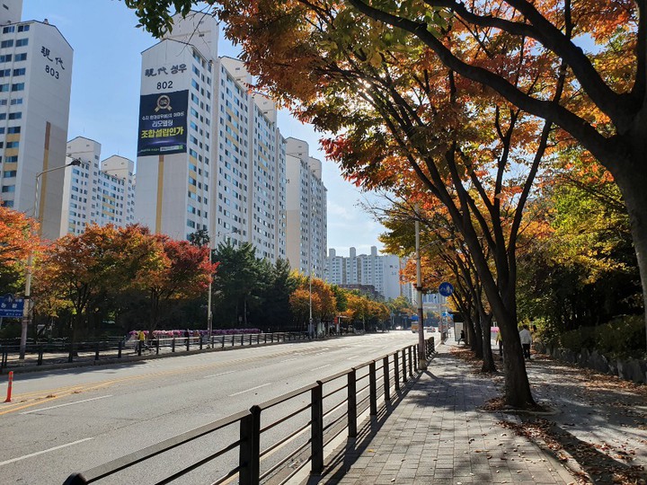 Fall