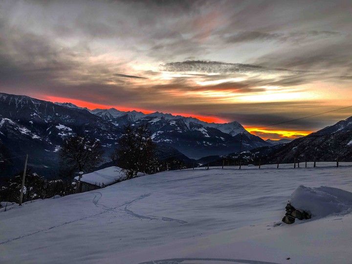 Test 20