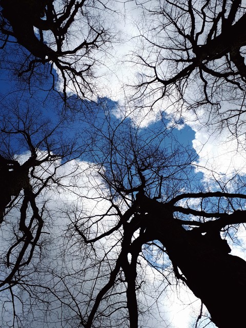 spring, clouds háttérképek