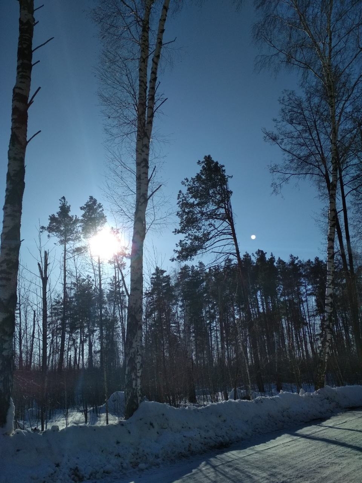 Winter Nature