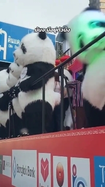 Un panda contento