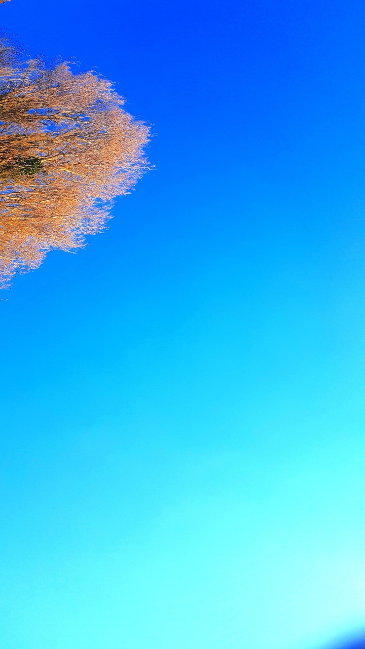 trampoline views