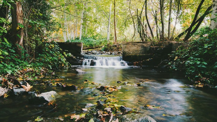 rest between the woods