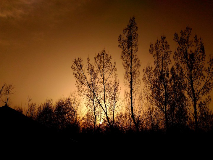 THE GOLDEN HOUR