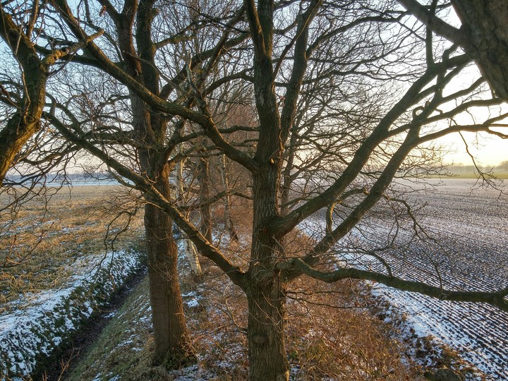 the landscape