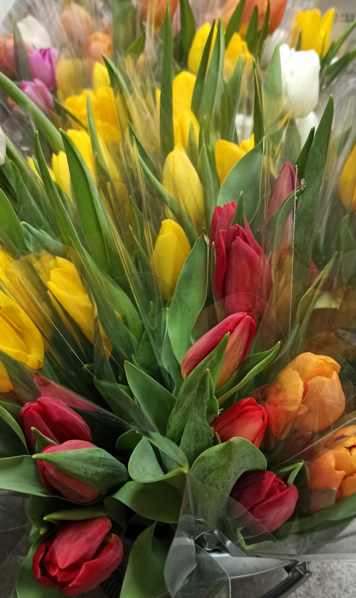 8 march