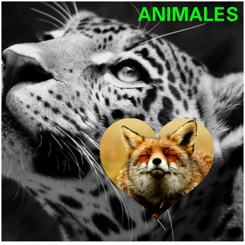 ANIMALES