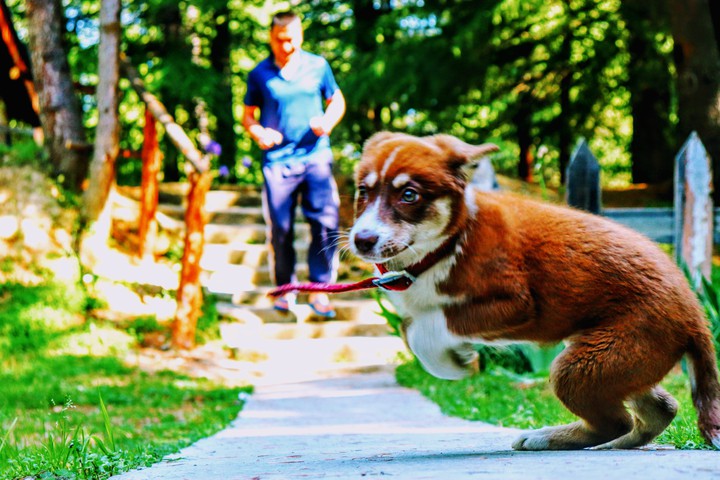 run bolt run!!!