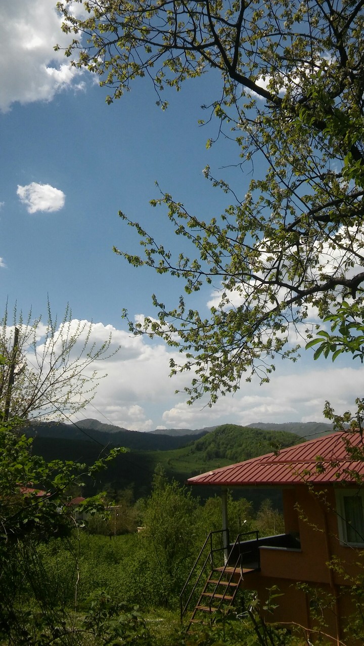 Dağ