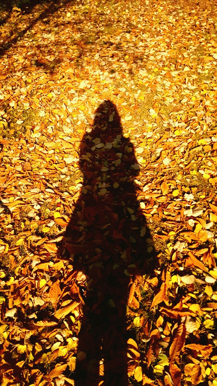 shadow