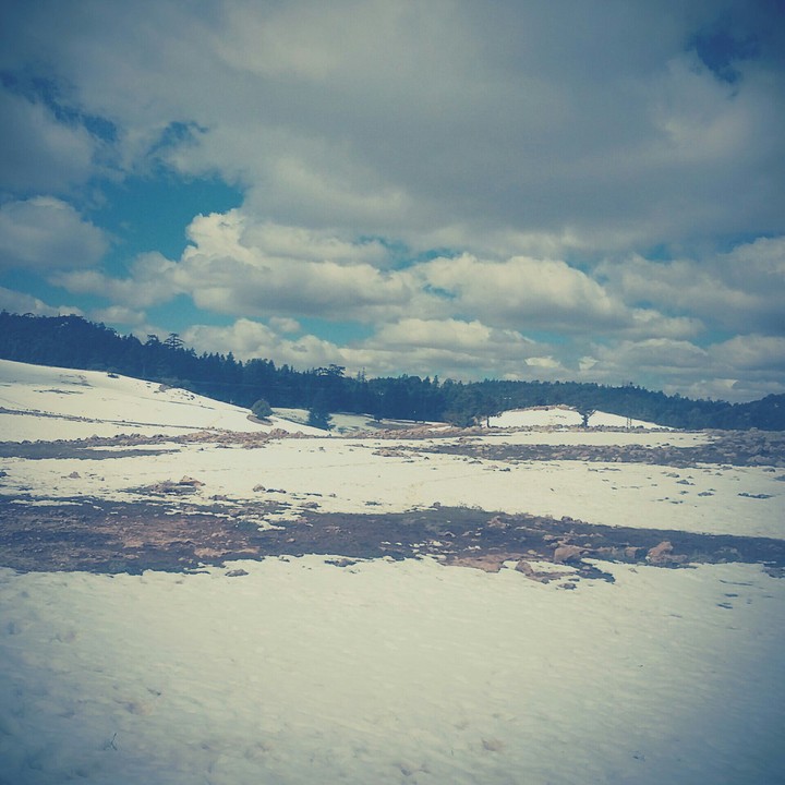 snow