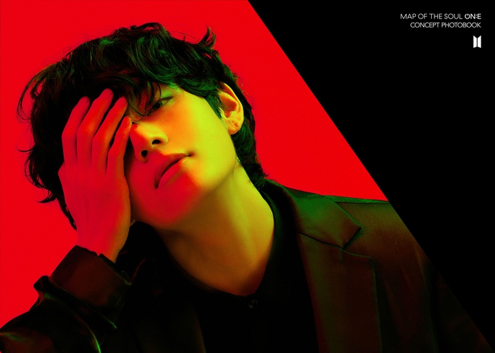 BTS V