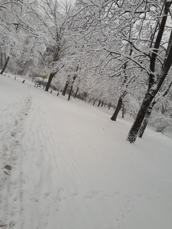 snow