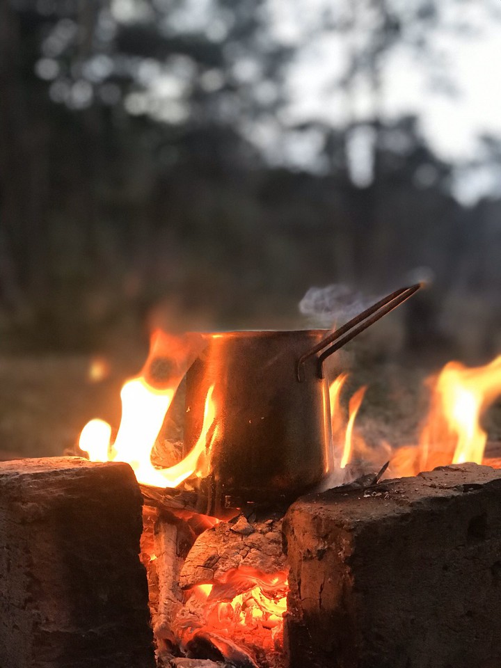 coffee in forest