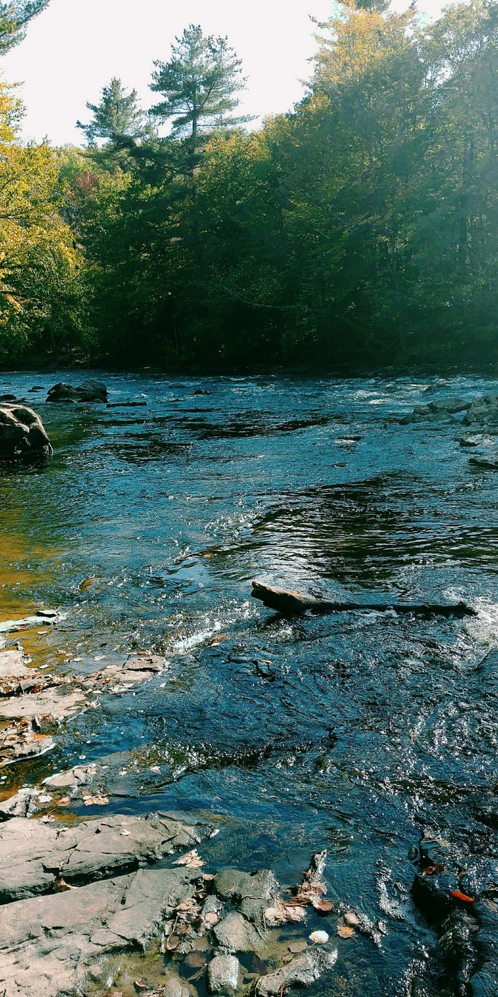 nature