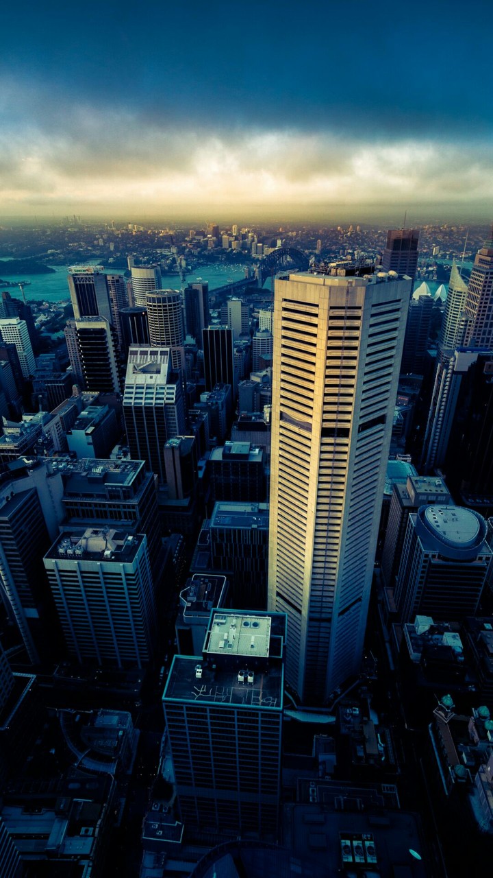 city
