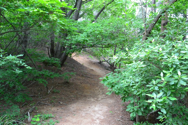 풍경이미지