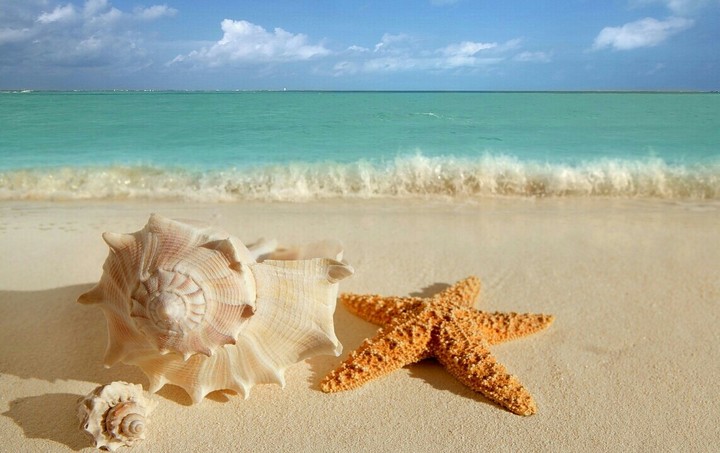 Melody of the Sea.