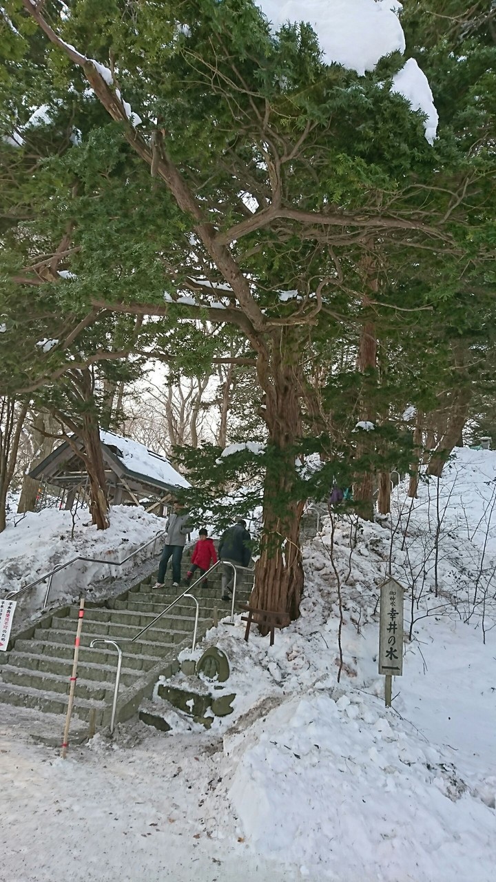 千歳神社の御神木