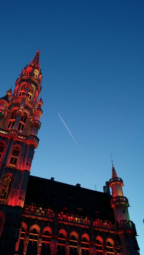 Fling over Bruxelles