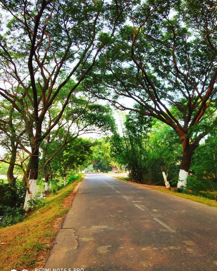 lonely road