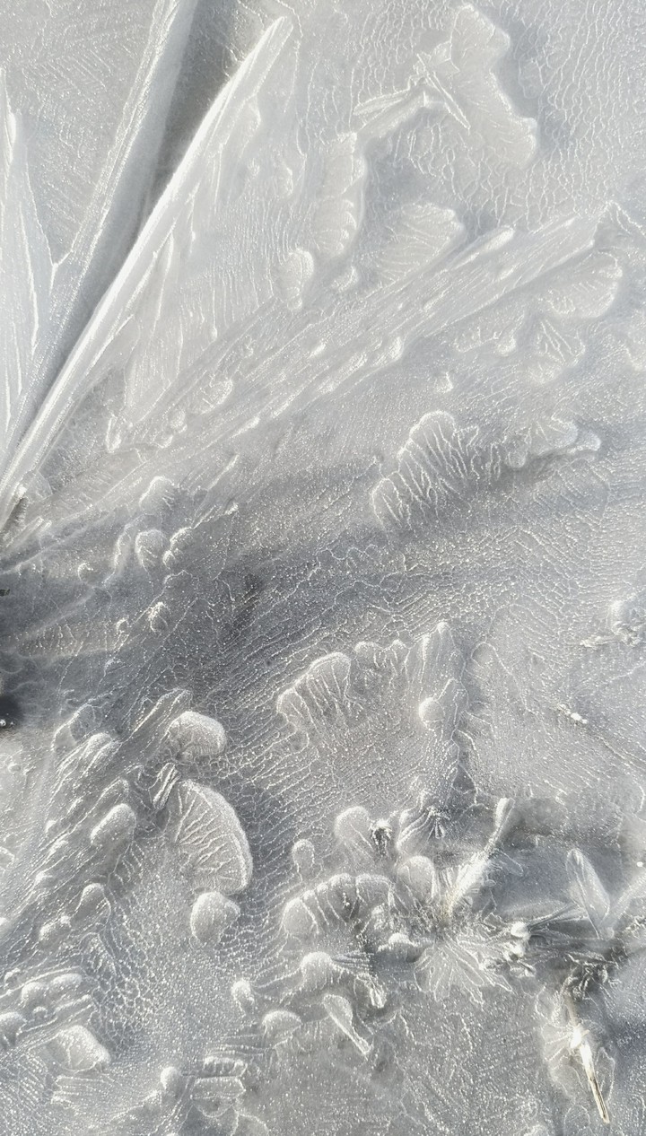 Ice