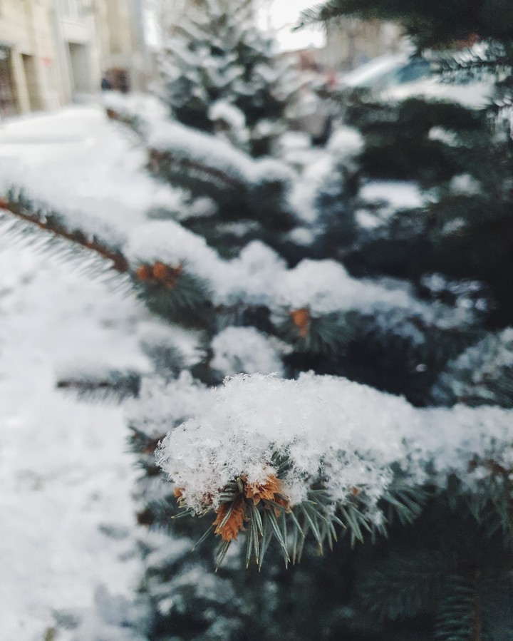 winter