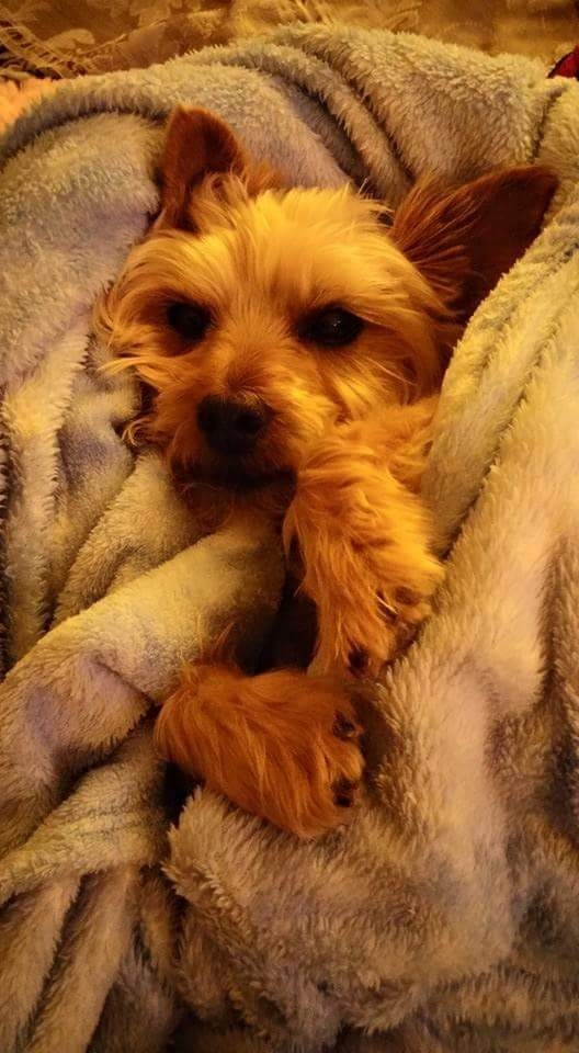 my baby