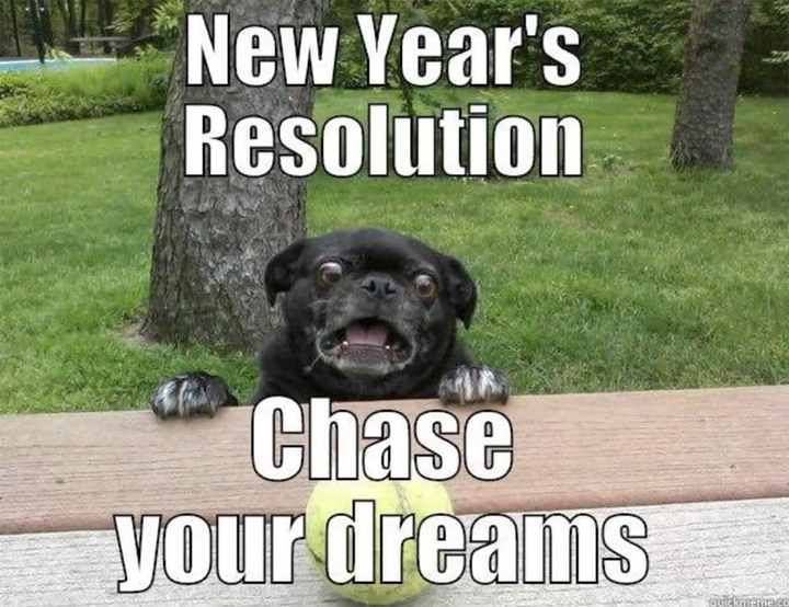 New Year Resolution
