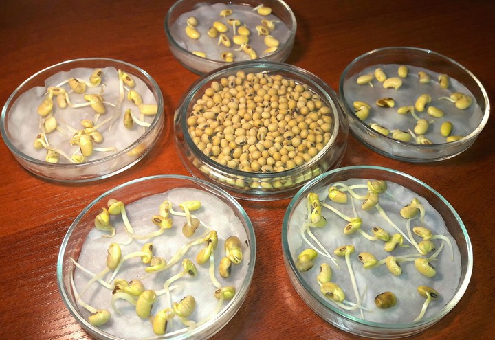 agrolaboratory