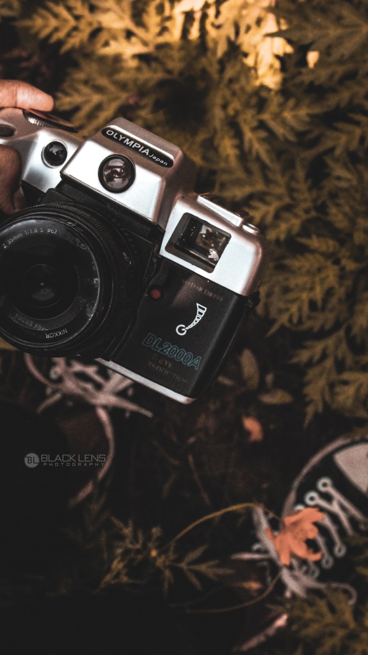 moody vintage