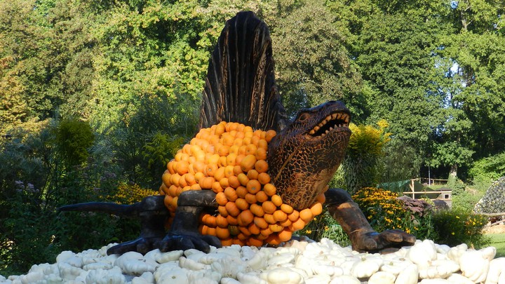 Kürbis Ausstellung Blühendes Barock Schloss Ludwigsburg 2011