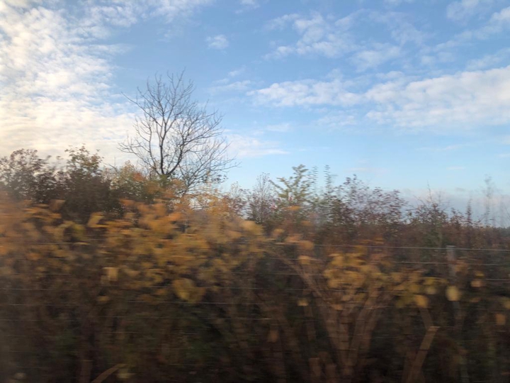 click from d train...