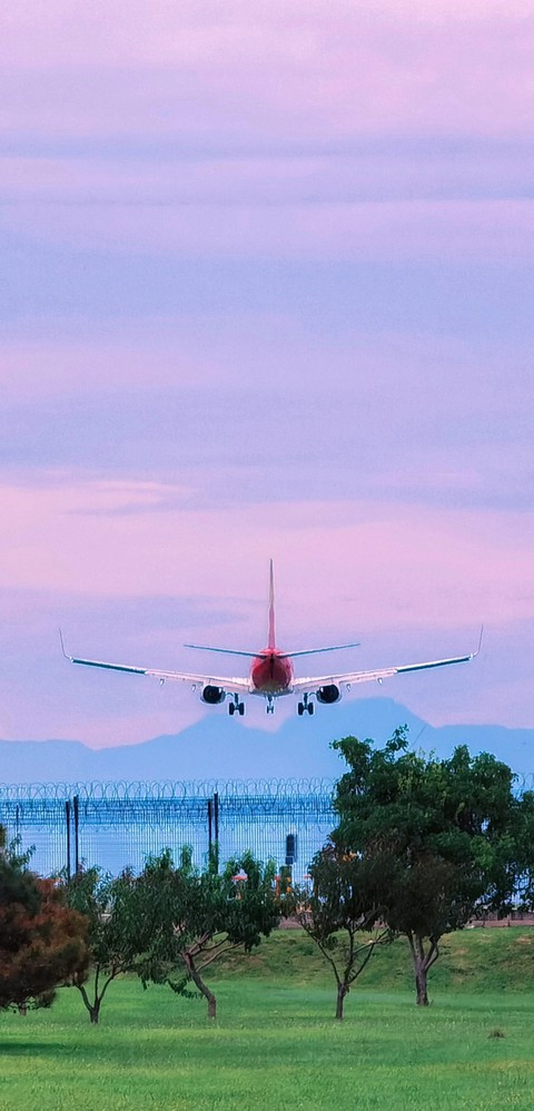 wallpaper