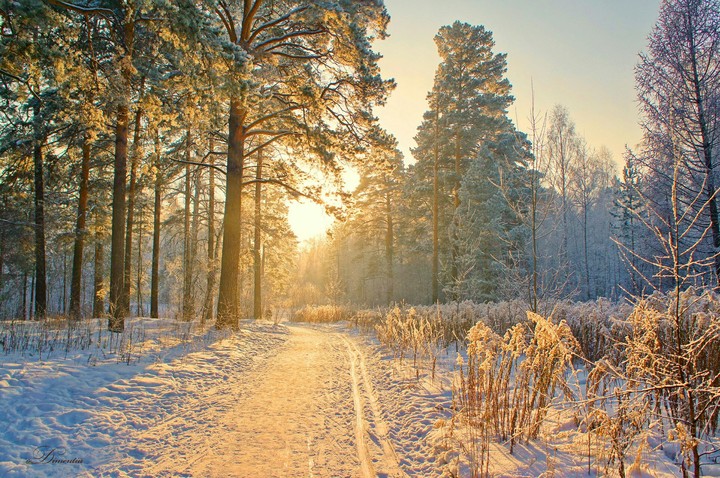 Nature