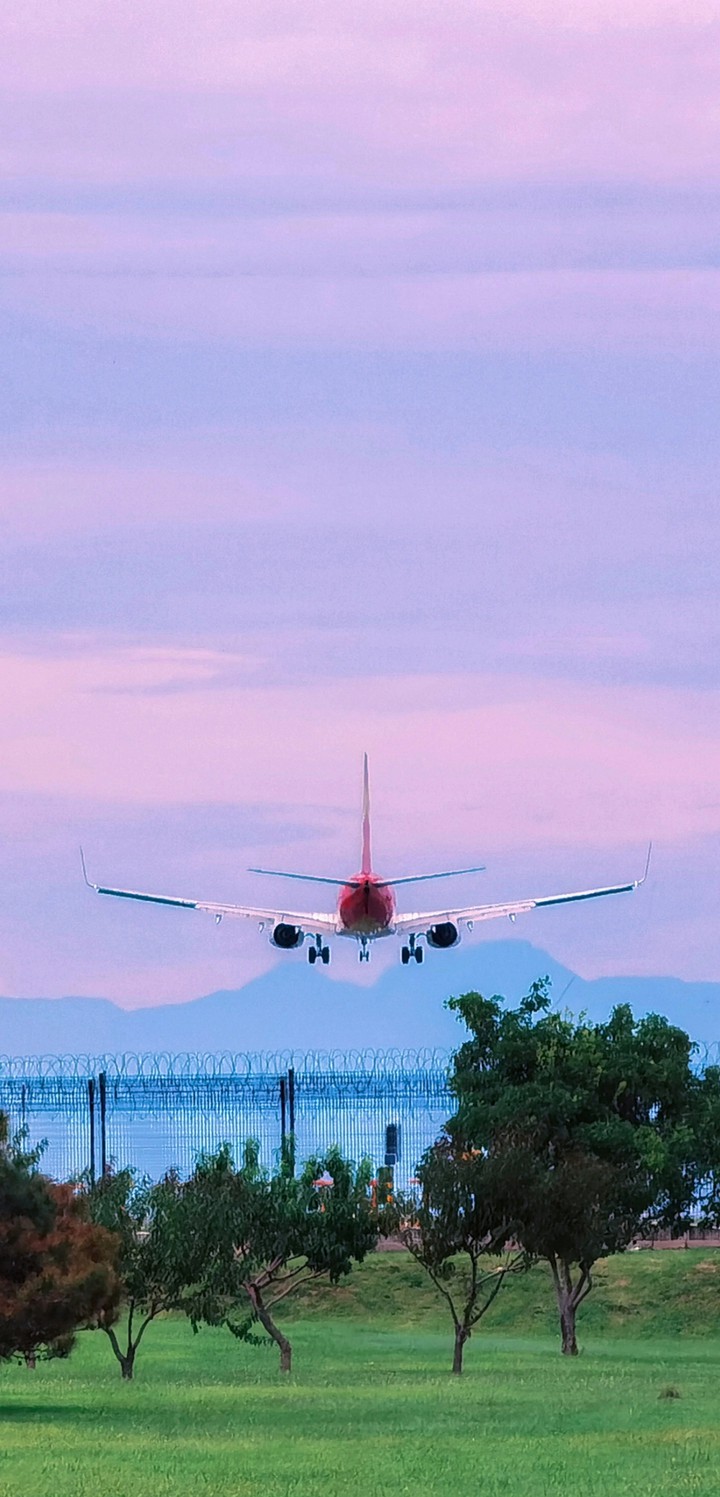 wallpaper