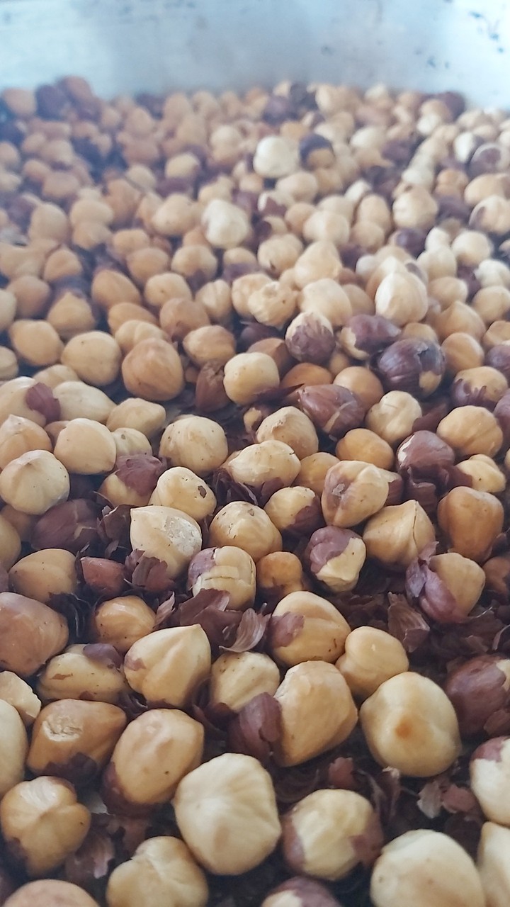 Fındık